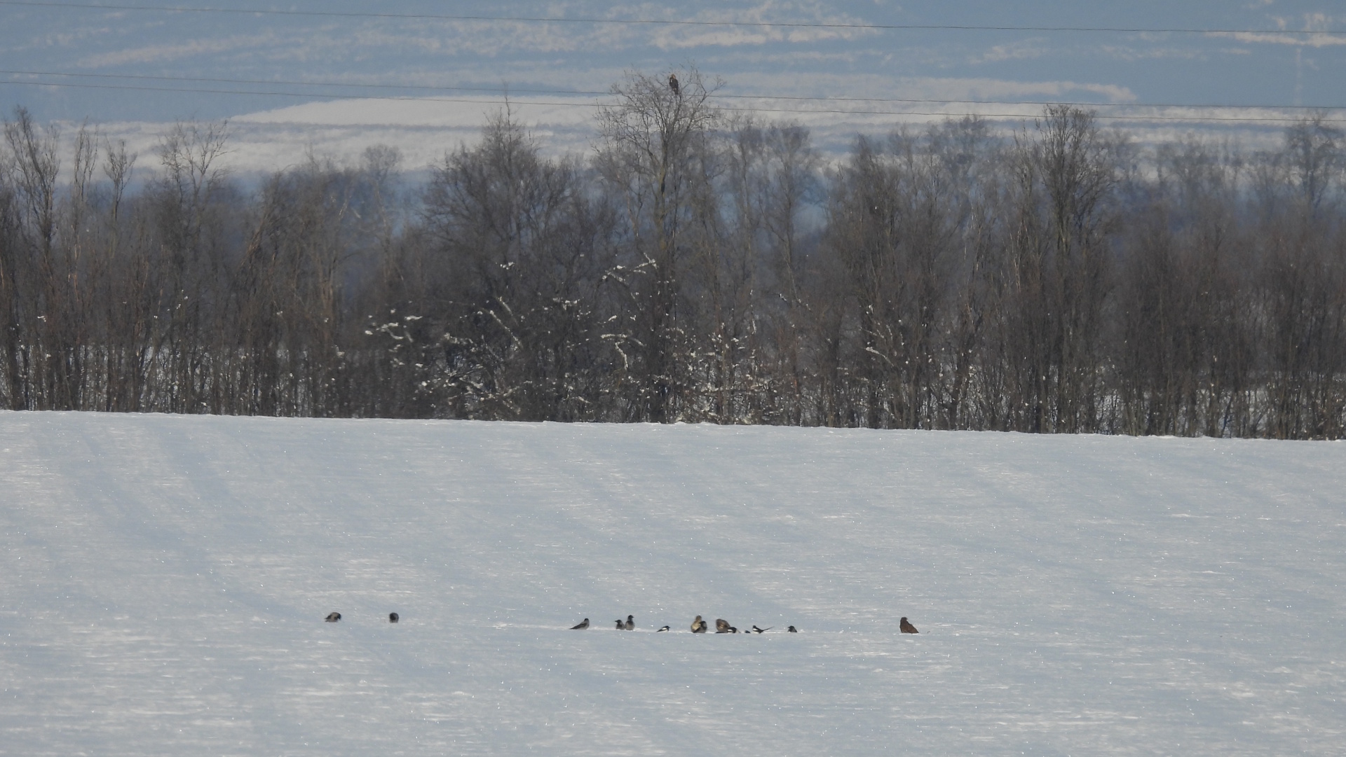zsakmanymarakodas_Sasvári János.jpg